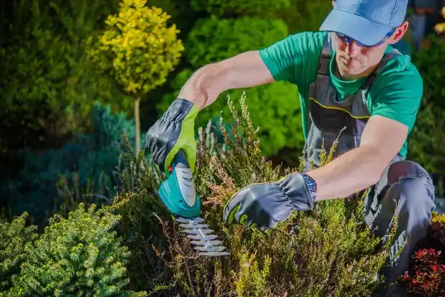landscaping services Norton Shores